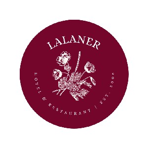 Image hover effect image